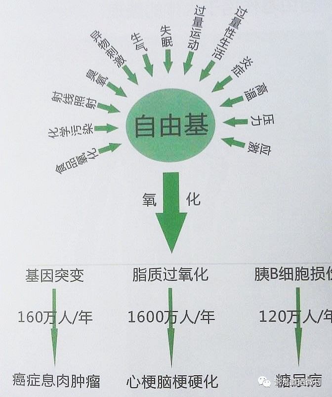 补硒对骨骼有好处吗