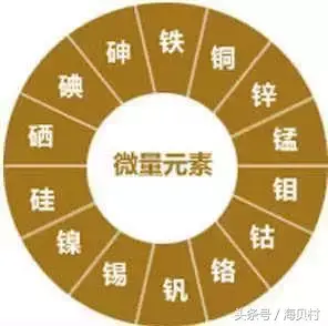 宝宝微量元素怎么查