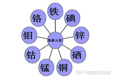 婴儿微量元素怎么检查