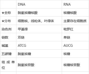 组成细胞的微量元素