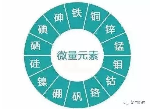 镁是微量元素吗