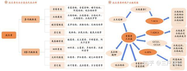 人用的补硒药有什么