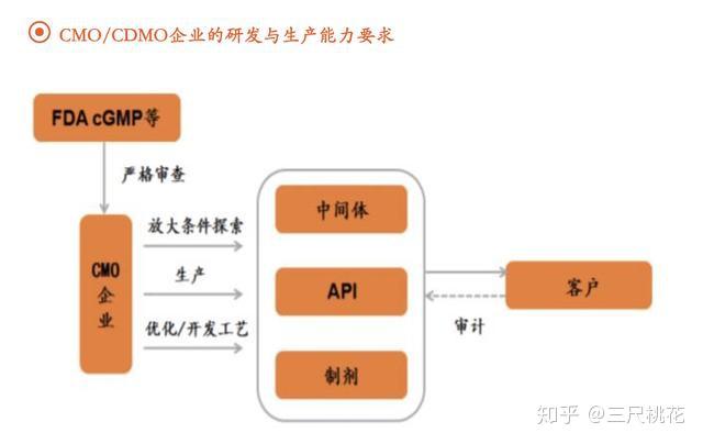 人用的补硒药有什么