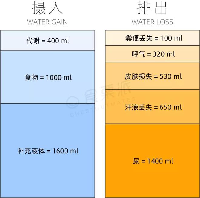 神经性偏头痛补硒吗