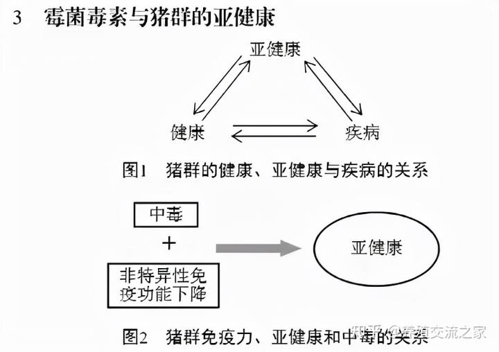 仔猪补硒补中毒咋办