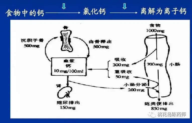 怎么样补钙