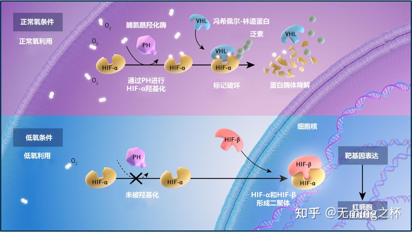 微量元素定义