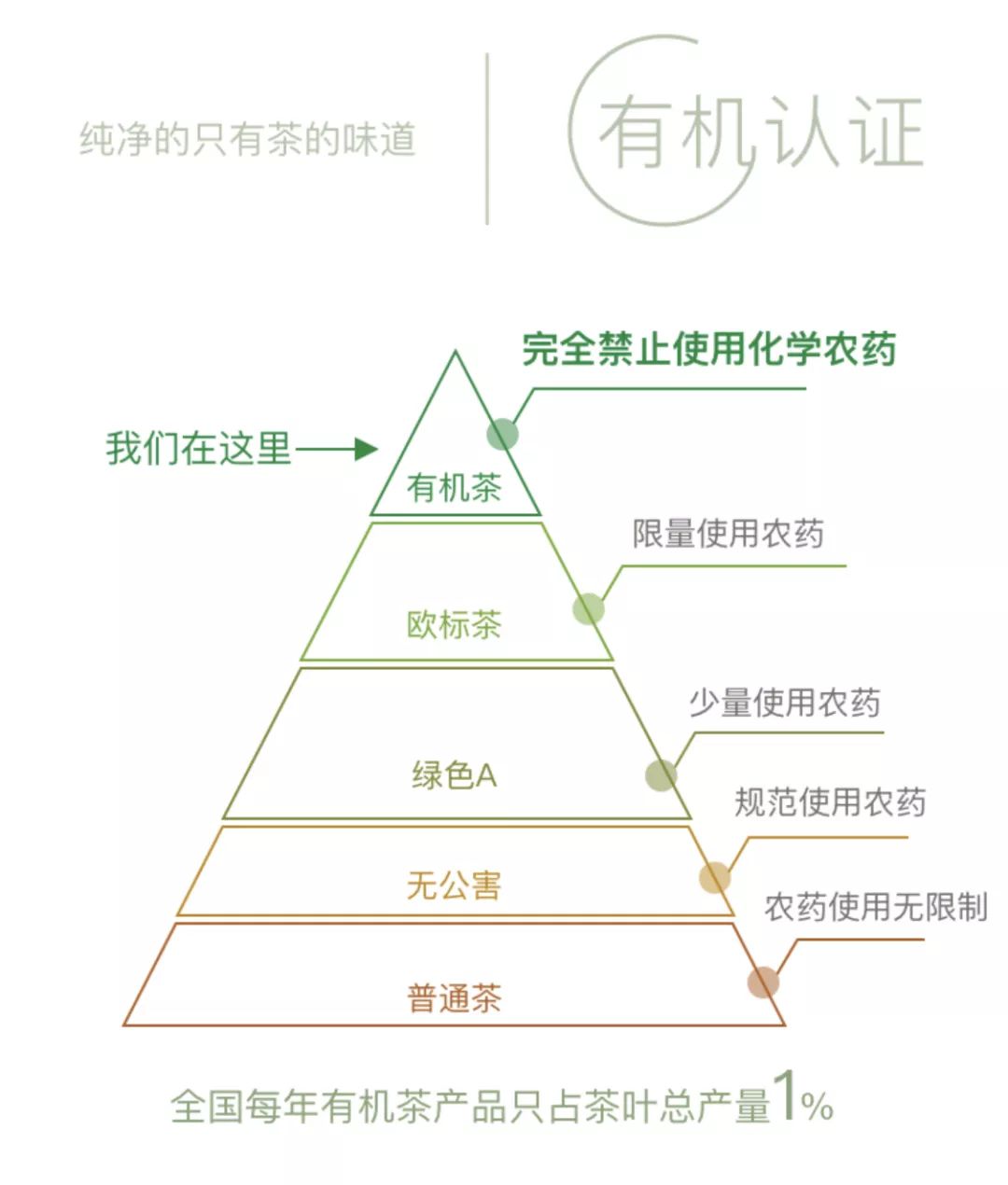 喝锌硒茶可以补硒吗