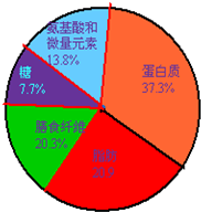 哪些食物补铁