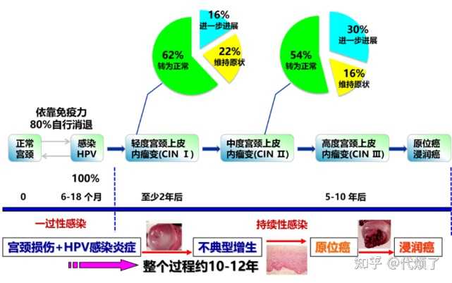 补硒可以消除hpv