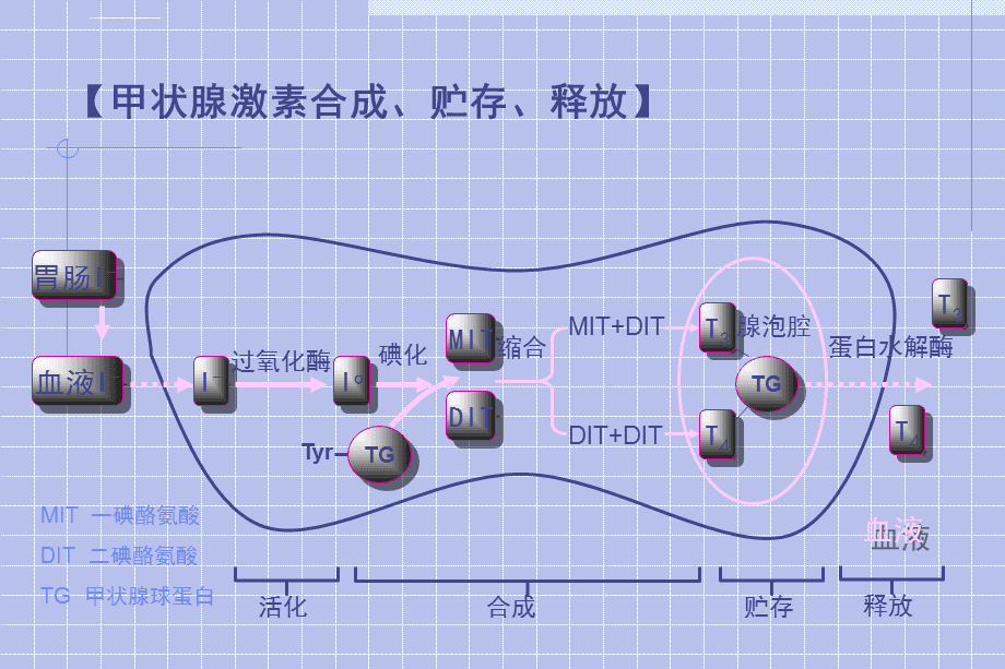 甲状腺疾病补硒产品