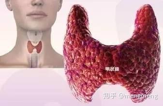 甲状腺不好可以补硒