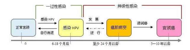 hpv感染需要补硒