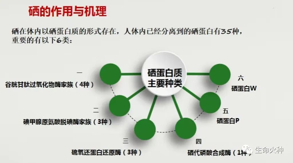 甲状腺结节怎么补硒