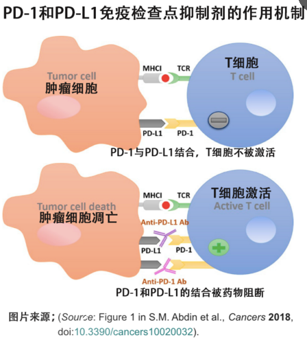 白癜风补硒效果好吗