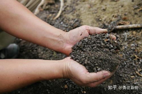 微量元素铜偏高怎么办