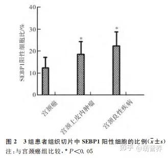 hpv感染高危补硒