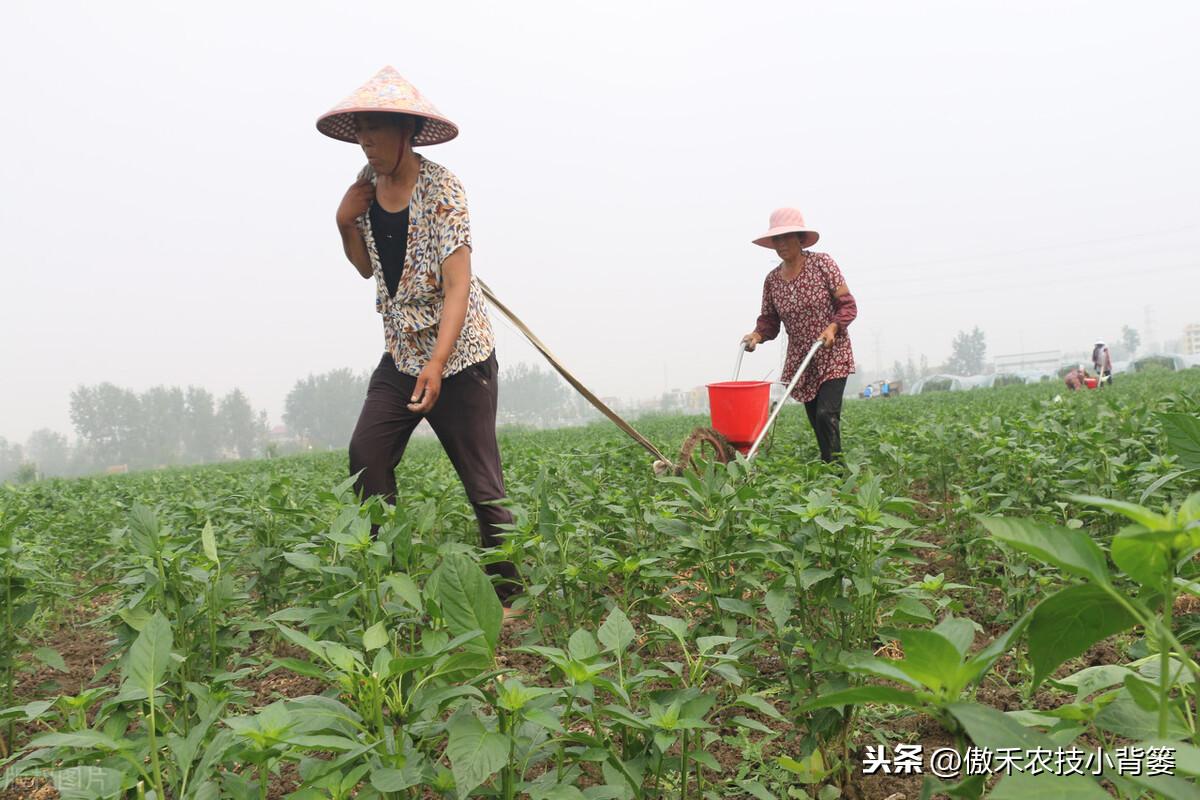 补镁不用补硒可以吗