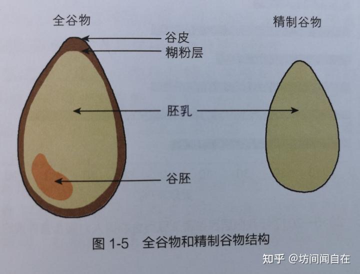 40一55女人缺微量元素的症状