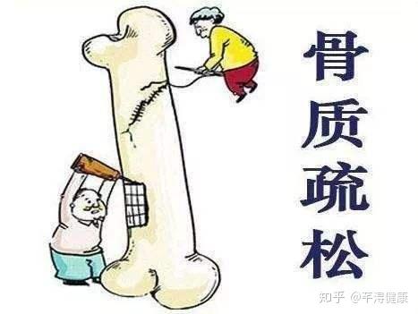 骨质疏松吃什么食物补钙最好