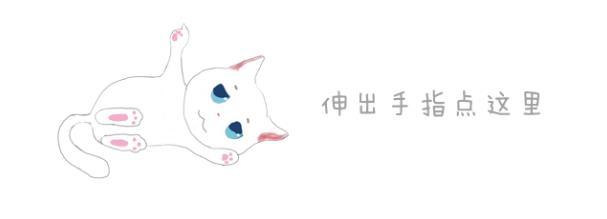 猫咪补钙