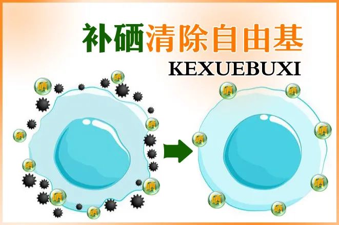 专家讲座补硒抗疫情