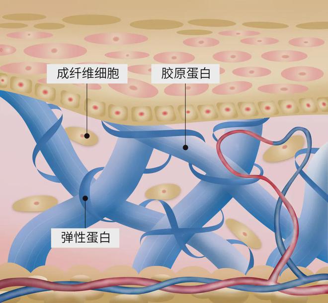 维生素几补钙