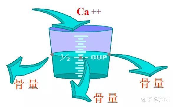 风湿补钙有用吗