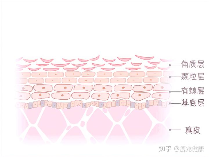 玫瑰痤疮可以补硒吗