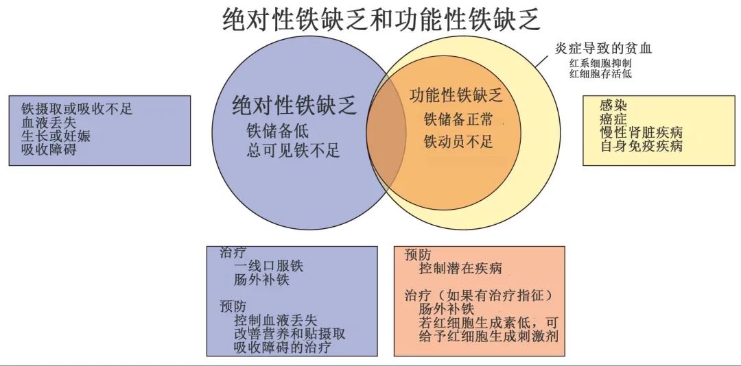 补铁会促进睡眠吗