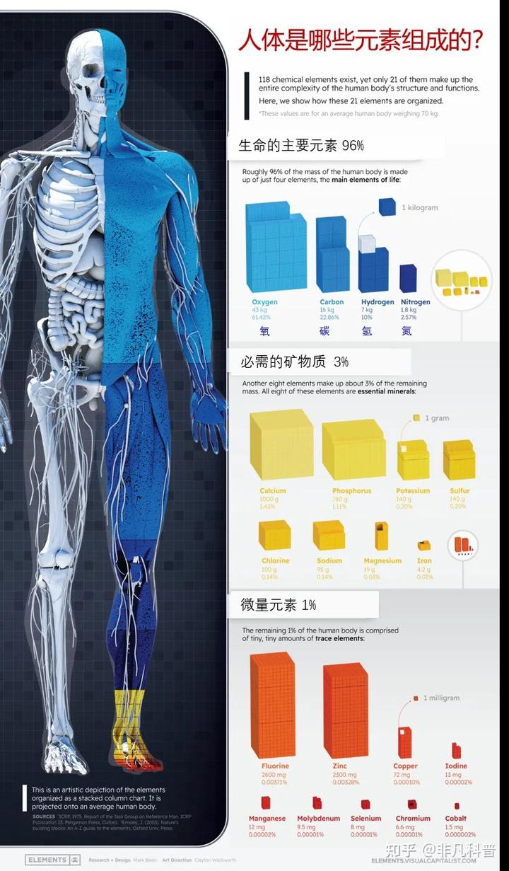 人体有多少种微量元素