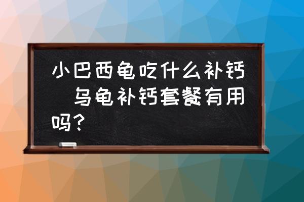 小巴西龟吃什么补钙(乌龟补钙套餐有用吗？)