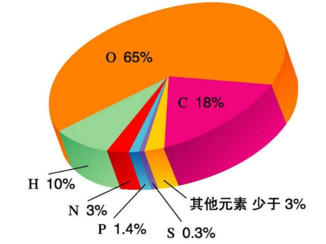 血微量元素是检查什么