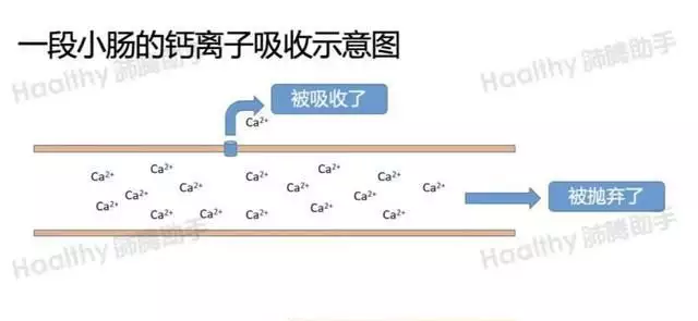 补钙要吃维生素d吗