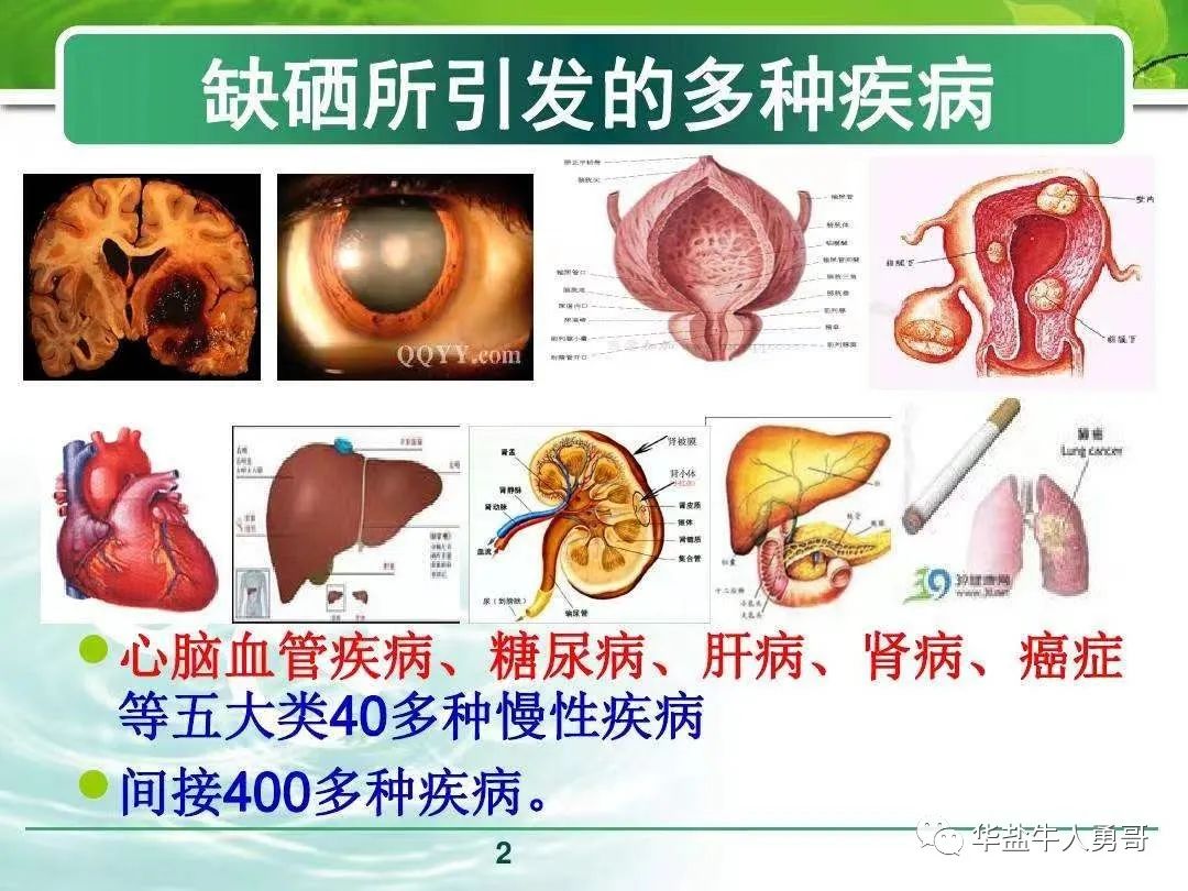 成人每天补多少克硒