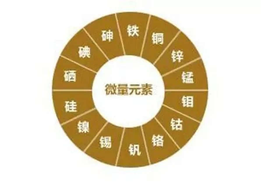 宝宝查微量元素挂什么科