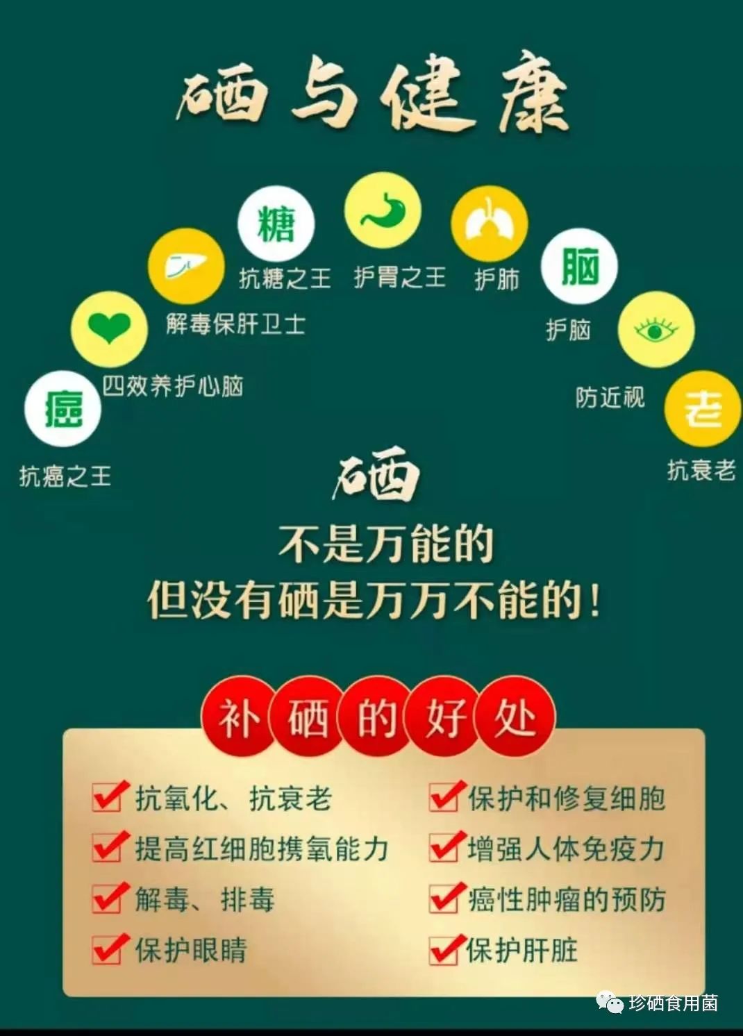 癌症可以补硒元素吗