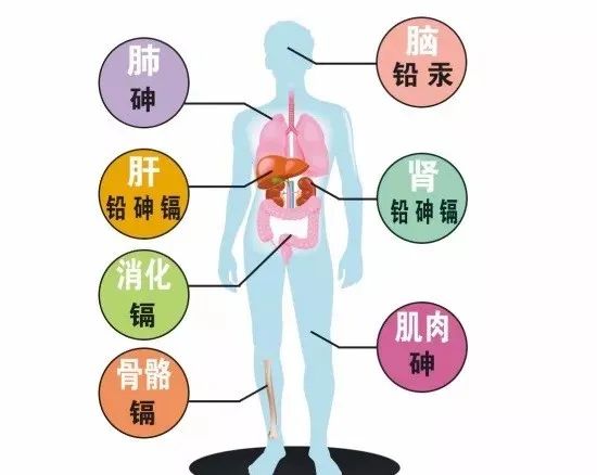 癌症可以补硒元素吗