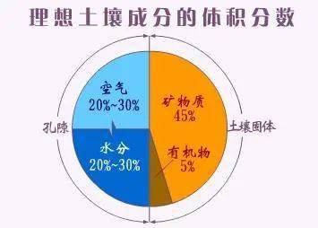 微量元素磷高怎么回事