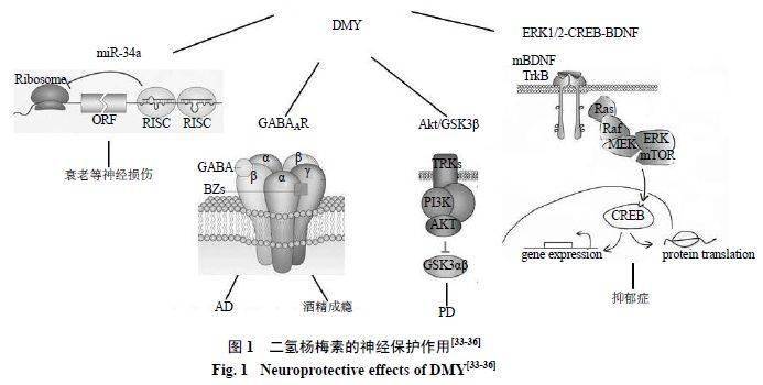 什么茶补硒最好最快