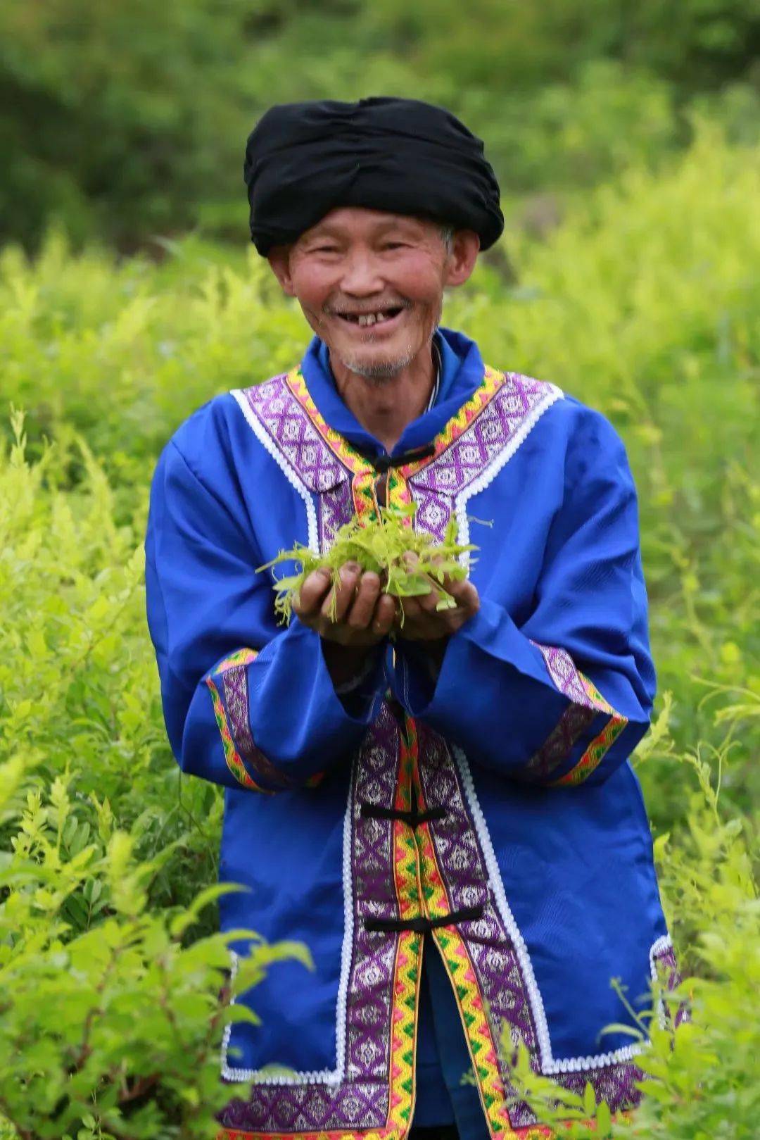 什么茶补硒最好最快