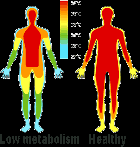 补硒甲状腺功能减退