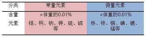 查微量元素有用吗