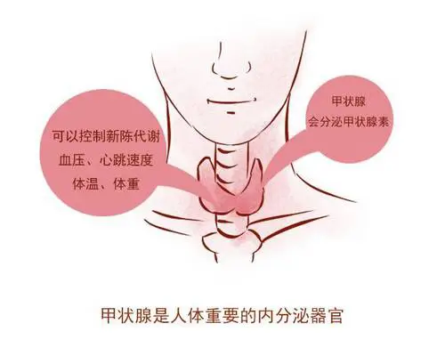 孕期吃什么食物补硒