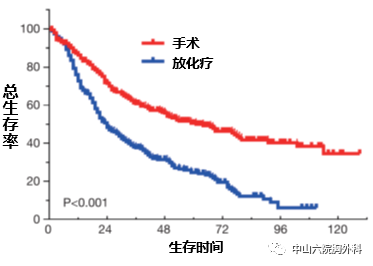 小细胞肺癌补硒作用