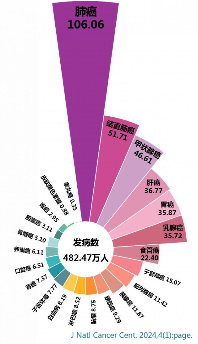 补碘的药