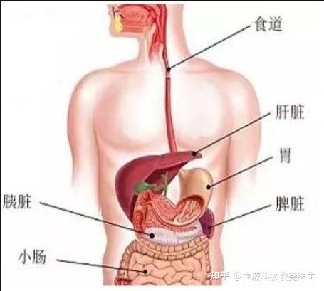 补硒能治疗肺部结节