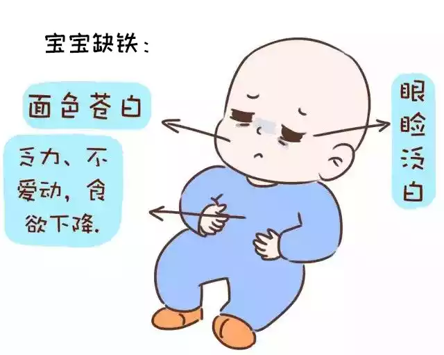 九个月宝宝吃啥补钙