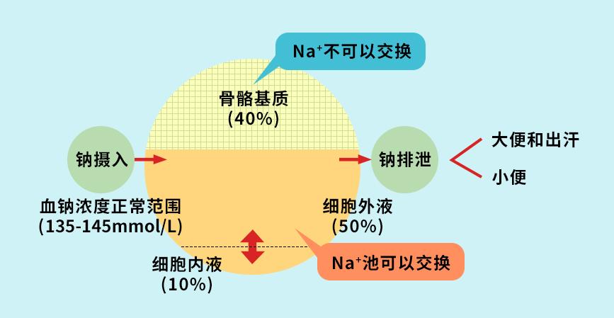 如何补充锌元素