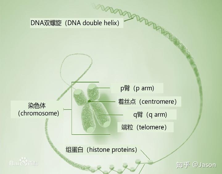 微量元素周期表